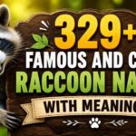 329-famous-and-cute-raccoon-names-with-meanings