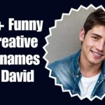 300-funny-and-creative-nicknames-for-david-2026