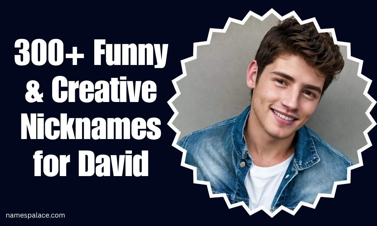 300-funny-and-creative-nicknames-for-david-2026