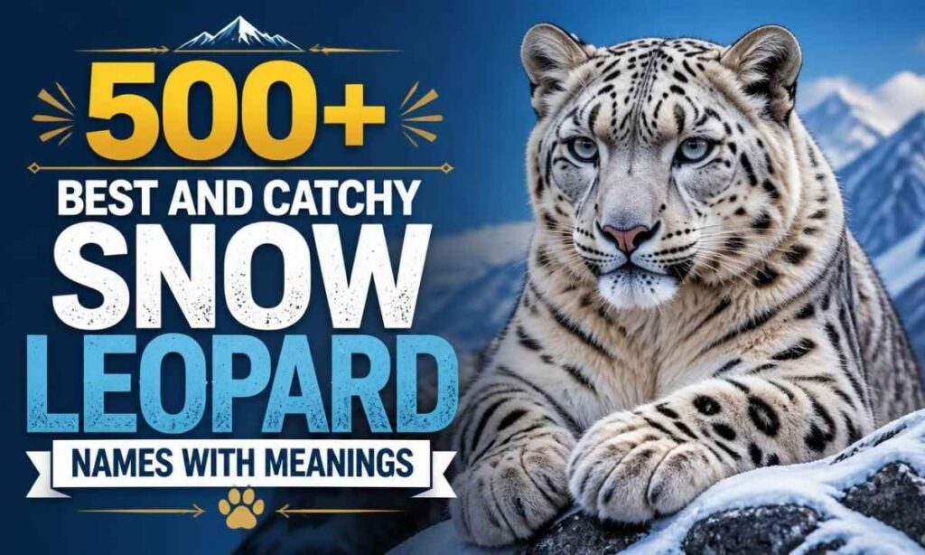 500-best-and-catchy-snow-leopard-names-with-meanings