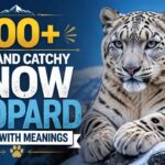 500-best-and-catchy-snow-leopard-names-with-meanings